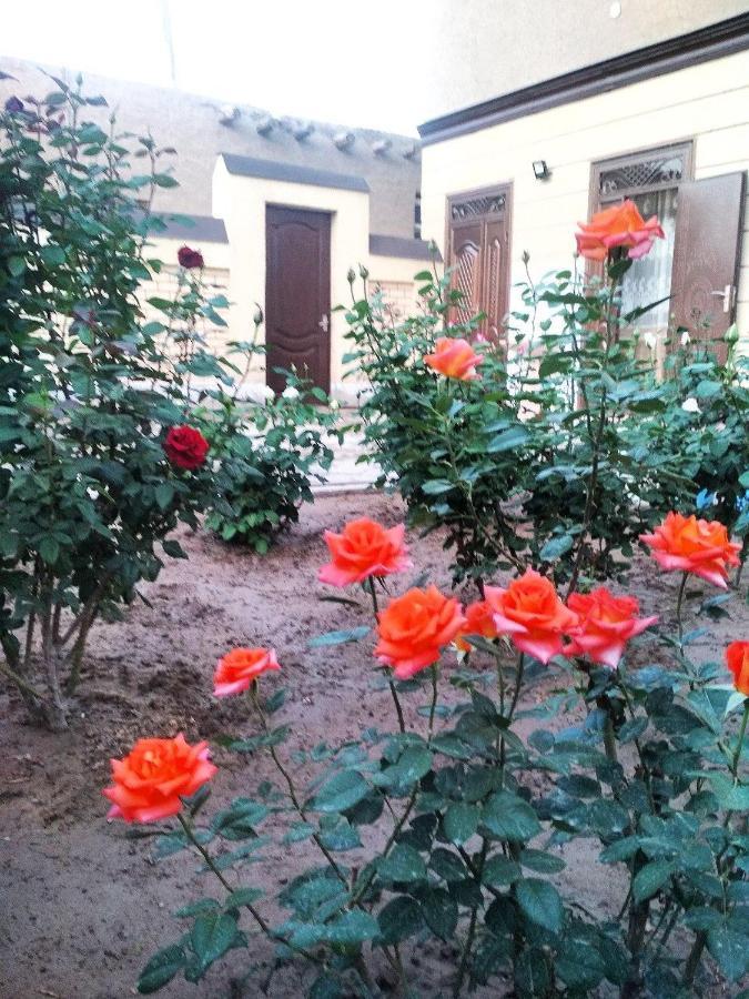 Shodlik Guest House Khiva Kültér fotó